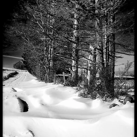 Place Des Jolis Reves