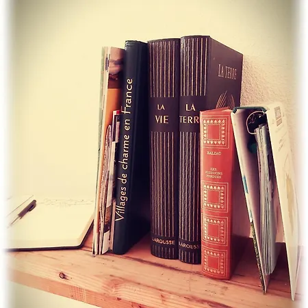 Place Des Jolis Reves Aparthotel Riom-es-Montagnes